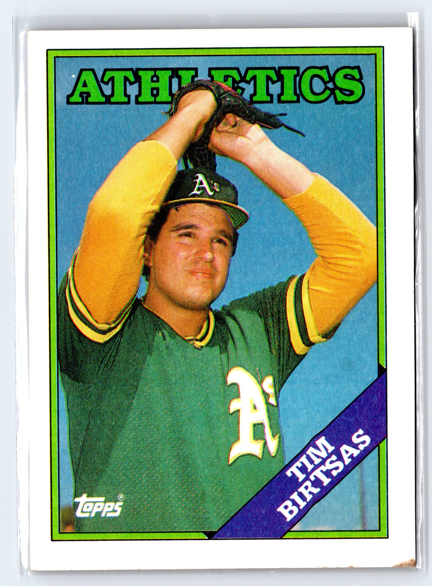 1988 Topps #501 Tim Birtsas