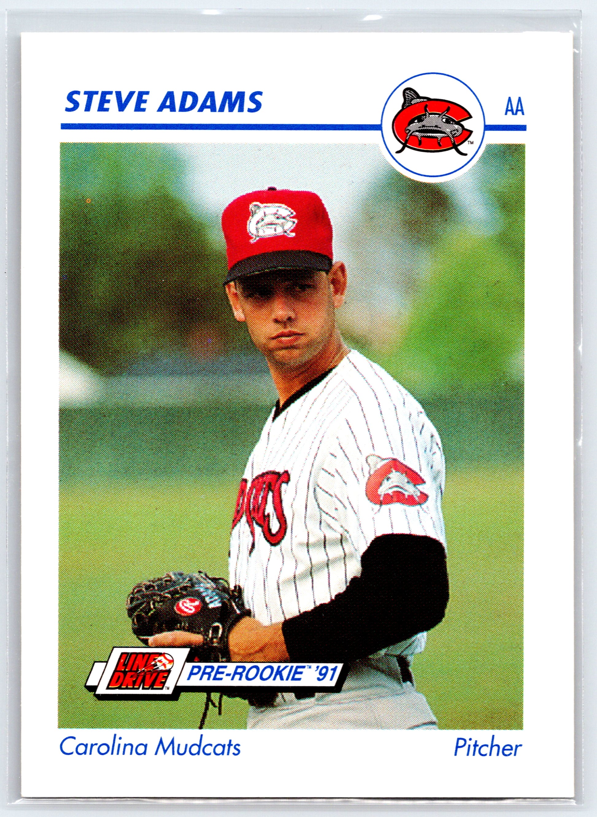 1991 Line Drive AA #101 Steve Adams